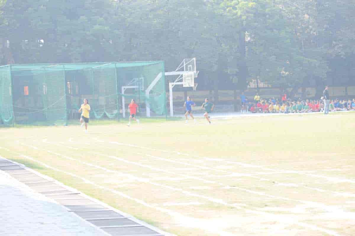 Senior Sports Day 2024