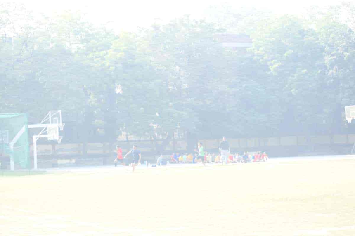 Senior Sports Day 2024