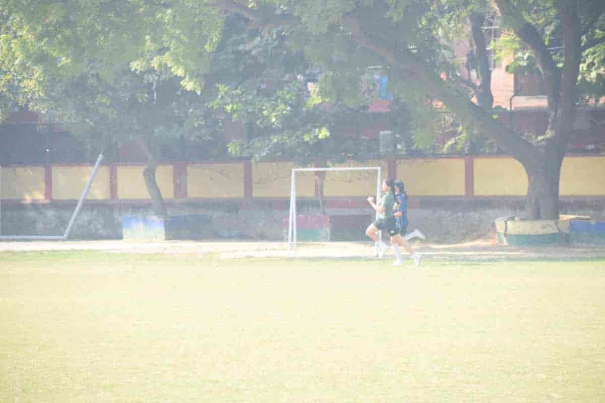 Senior Sports Day 2024