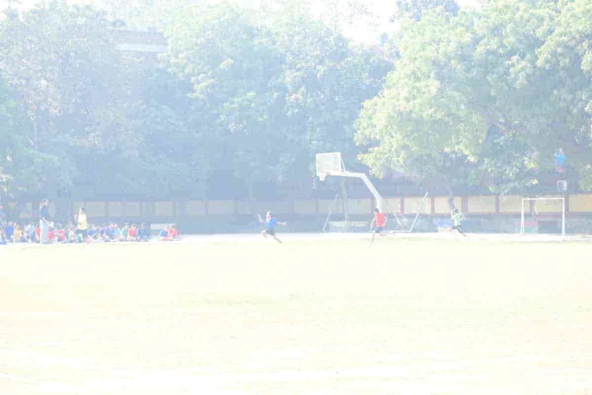 Senior Sports Day 2024