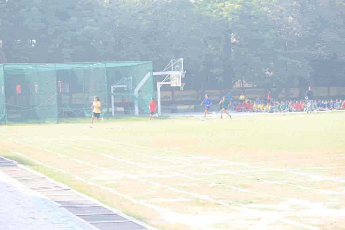 Senior Sports Day 2024