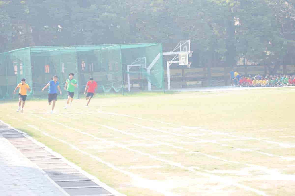 Senior Sports Day 2024
