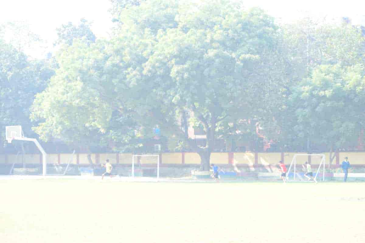 Senior Sports Day 2024