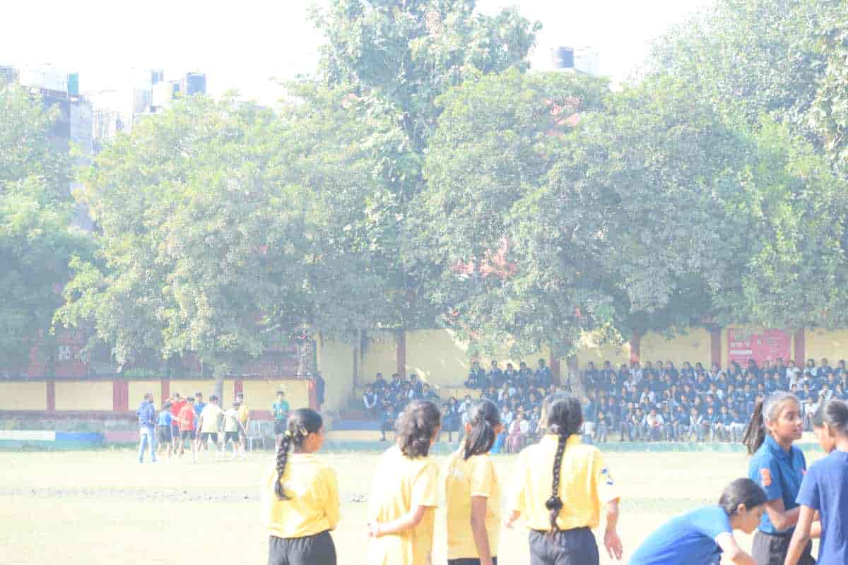 Senior Sports Day 2024