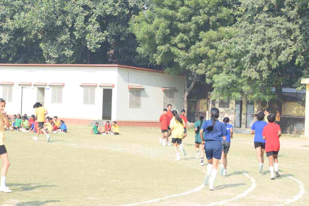 Senior Sports Day 2024