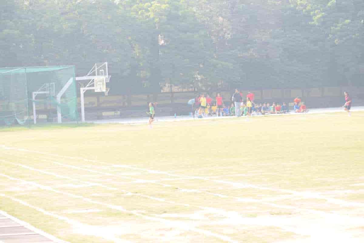 Senior Sports Day 2024