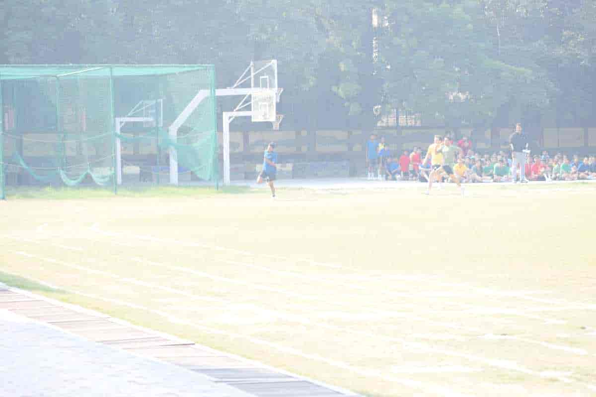 Senior Sports Day 2024