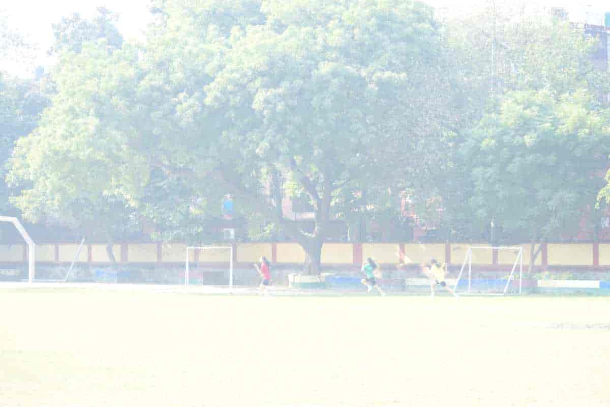 Senior Sports Day 2024