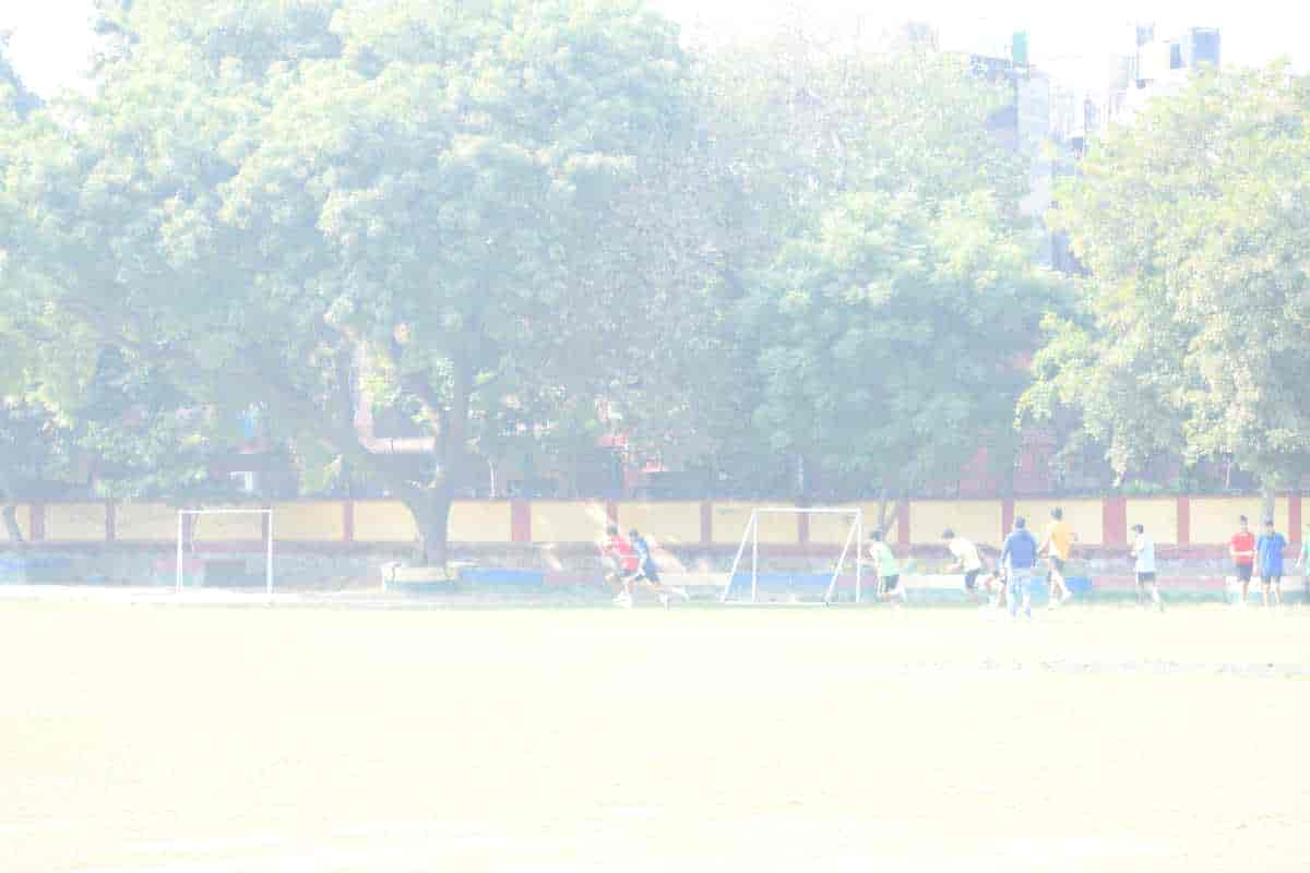 Senior Sports Day 2024