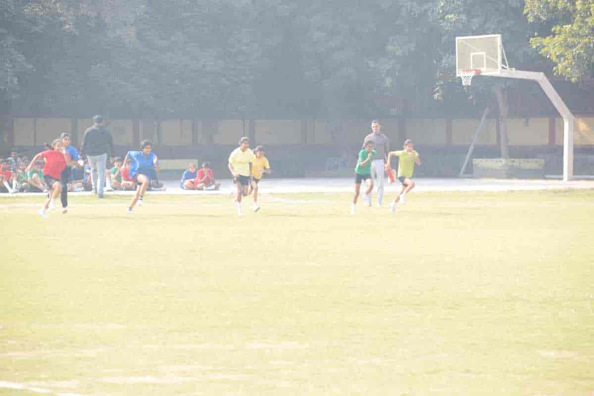 Senior Sports Day 2024