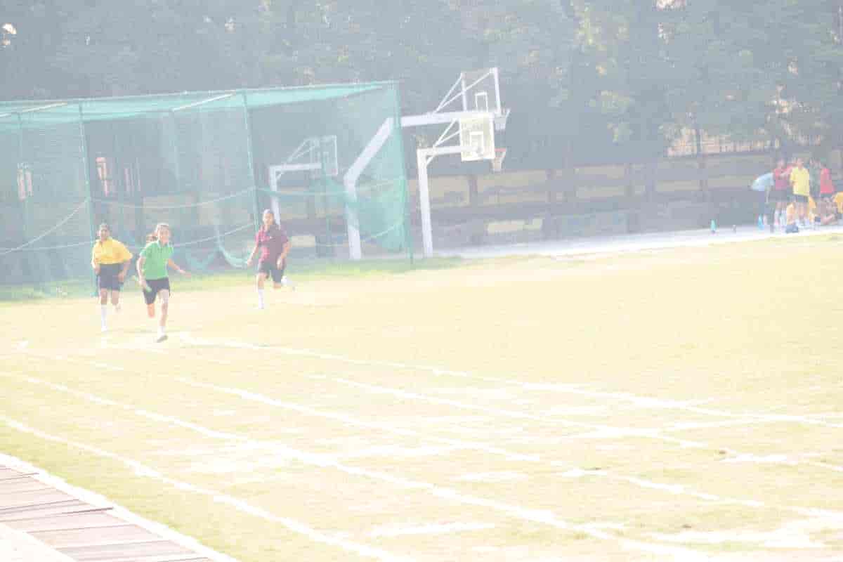 Senior Sports Day 2024