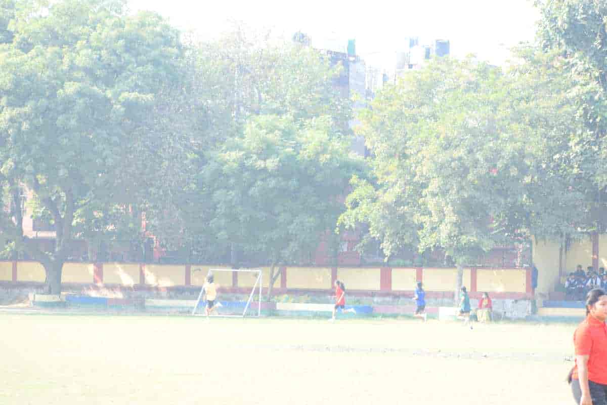 Senior Sports Day 2024