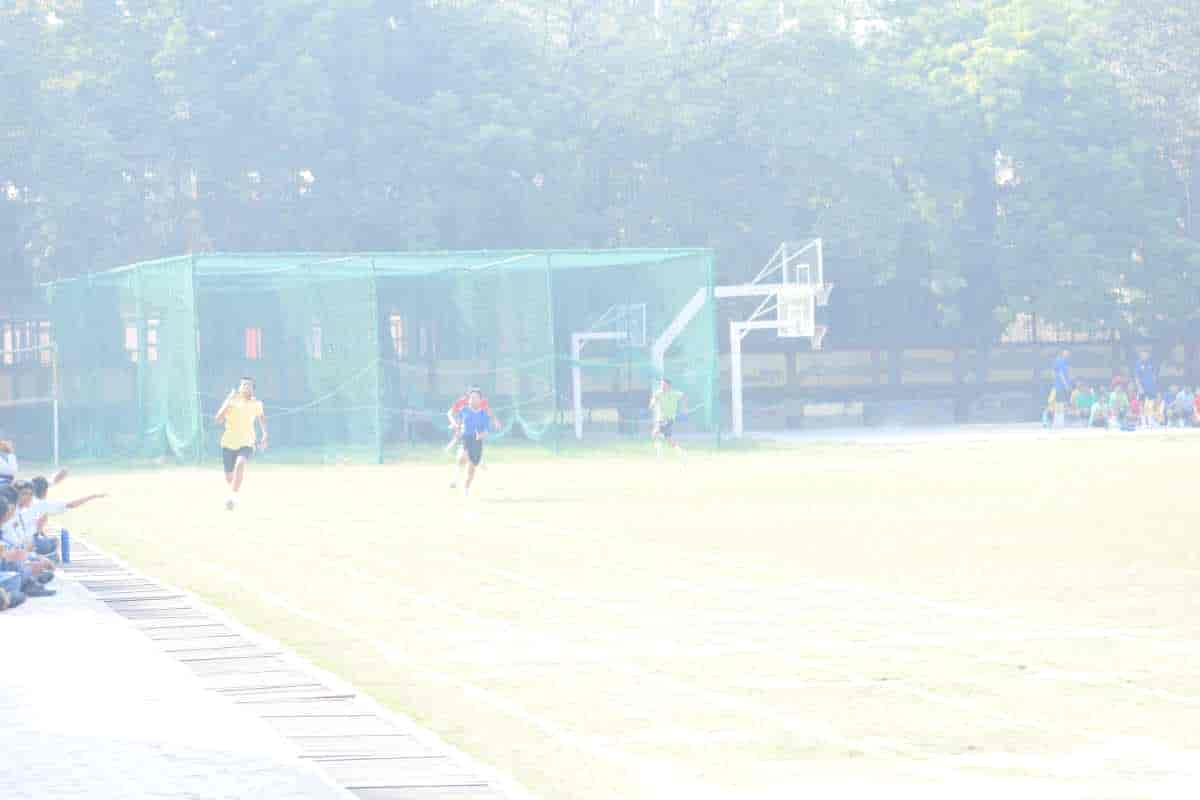 Senior Sports Day 2024