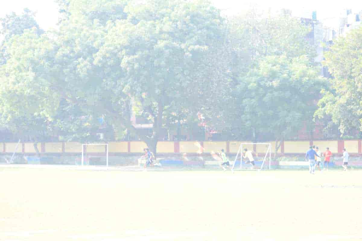 Senior Sports Day 2024