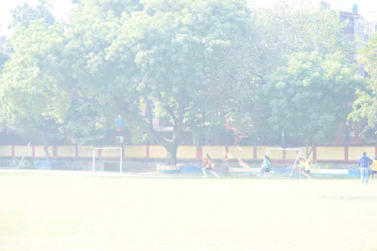 Senior Sports Day 2024