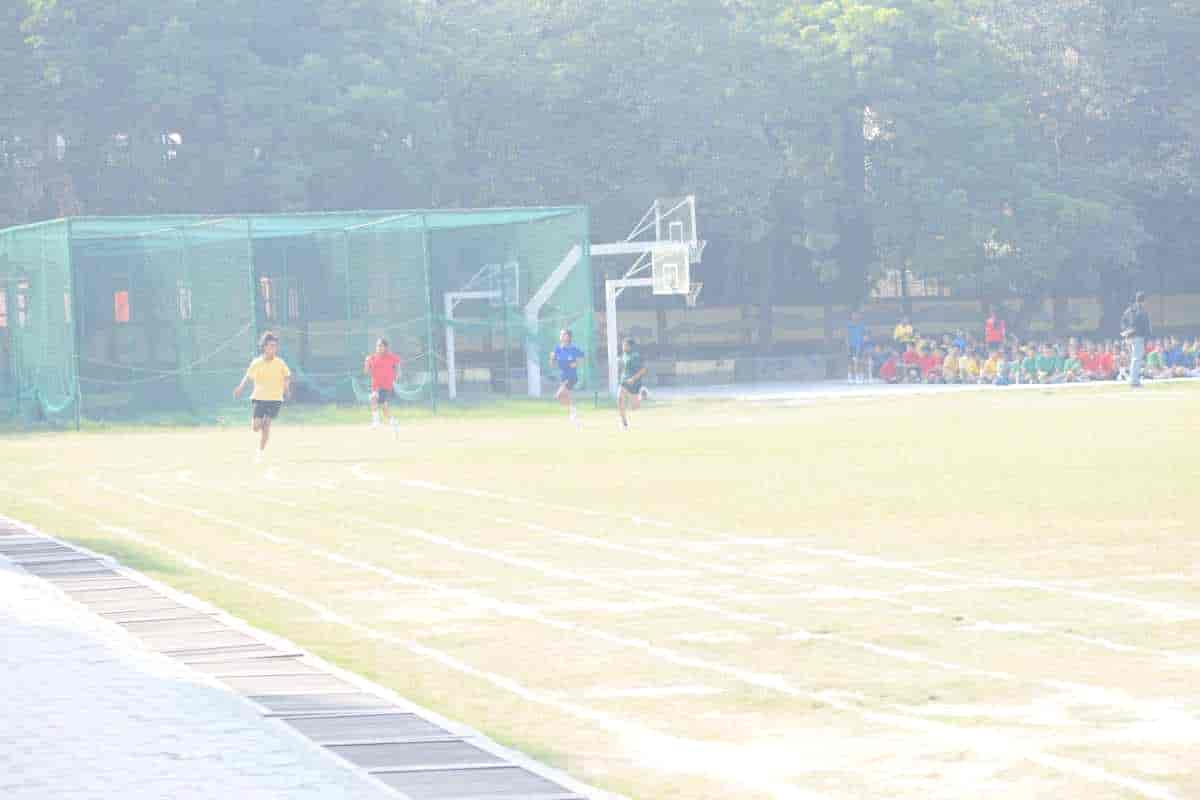 Senior Sports Day 2024