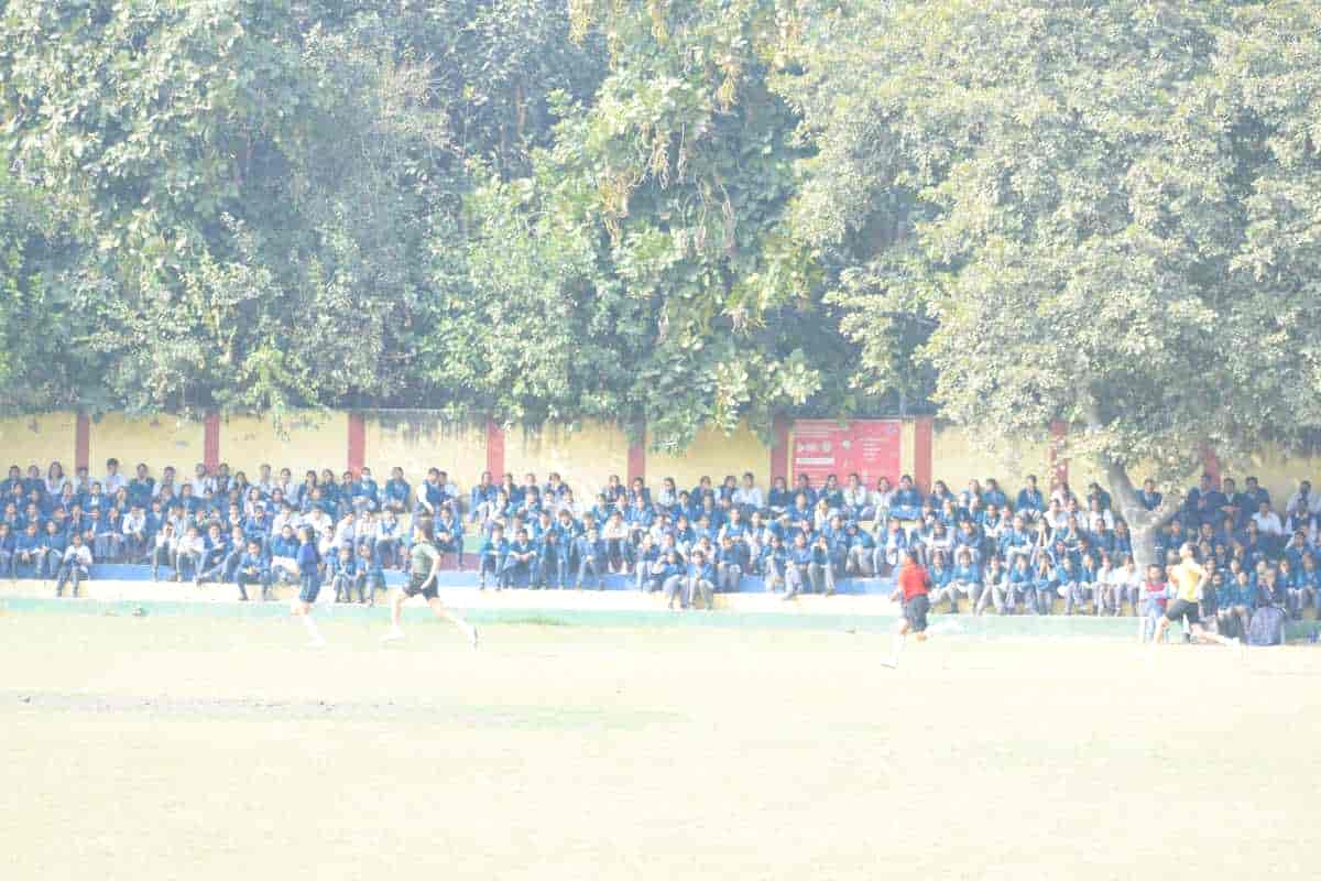 Senior Sports Day 2024