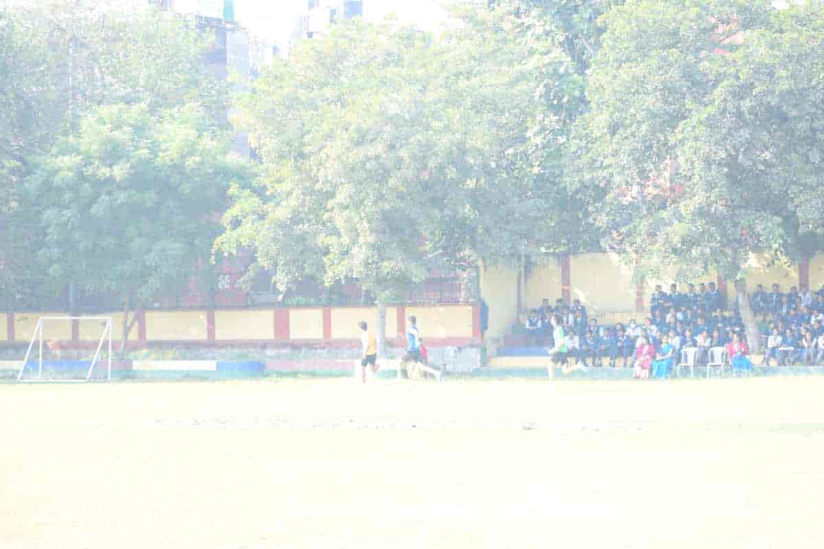 Senior Sports Day 2024