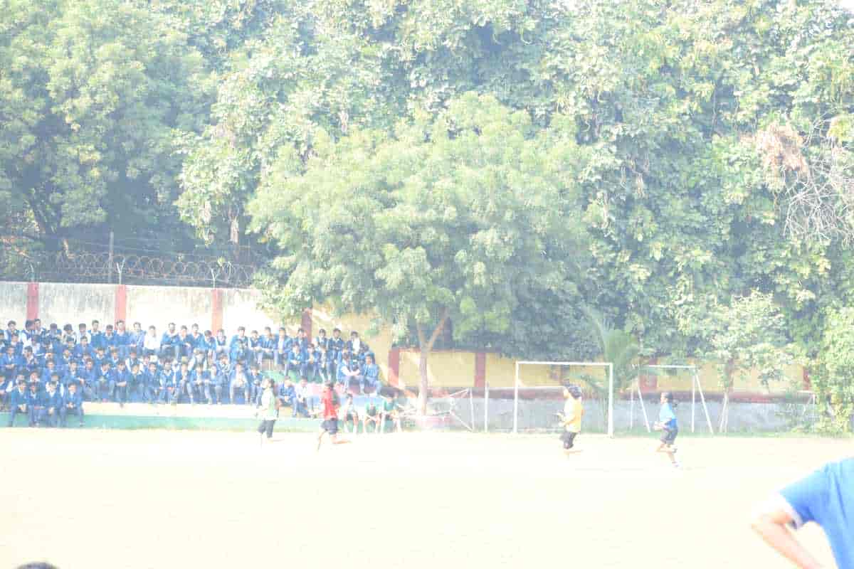 Senior Sports Day 2024