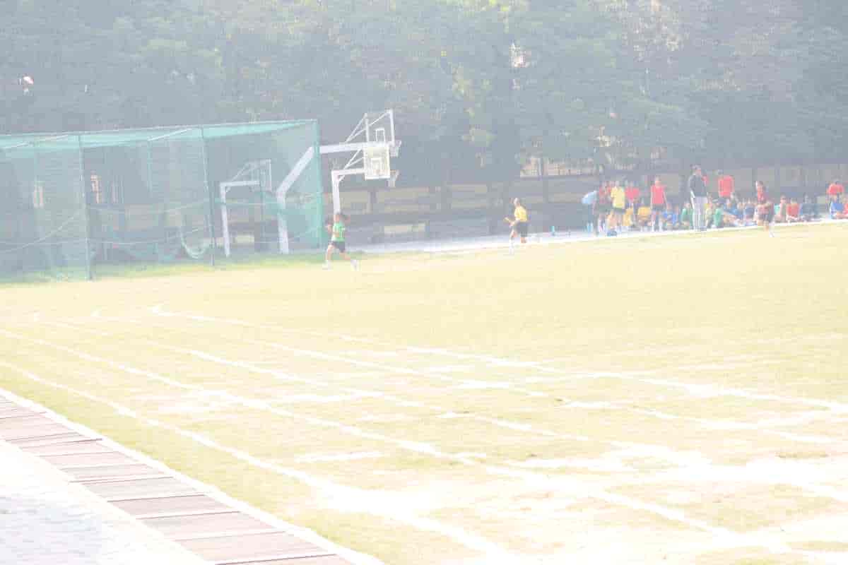 Senior Sports Day 2024