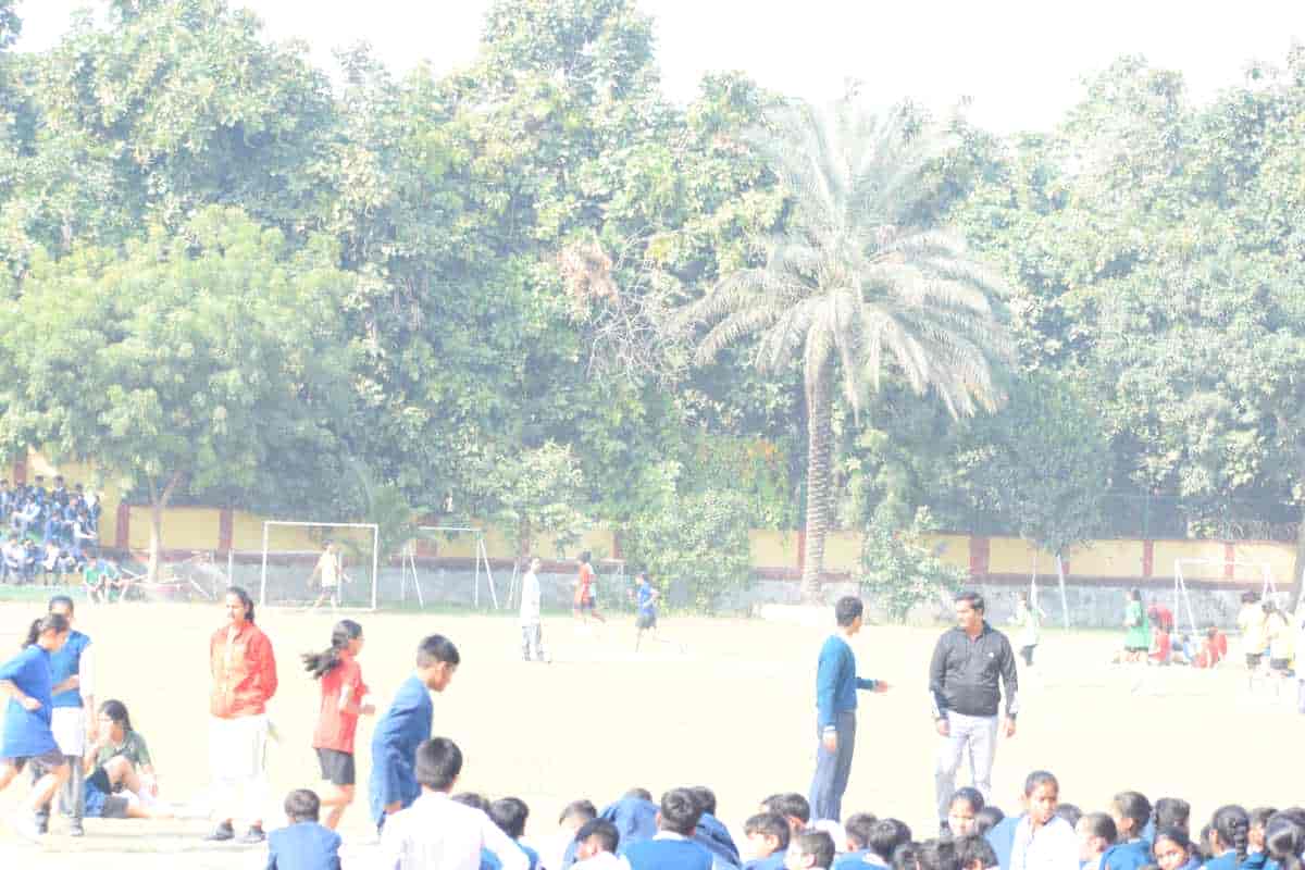 Senior Sports Day 2024
