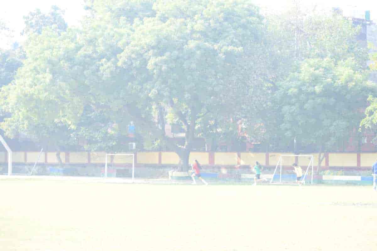 Senior Sports Day 2024