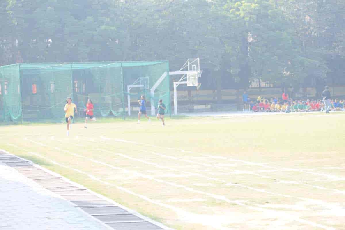 Senior Sports Day 2024