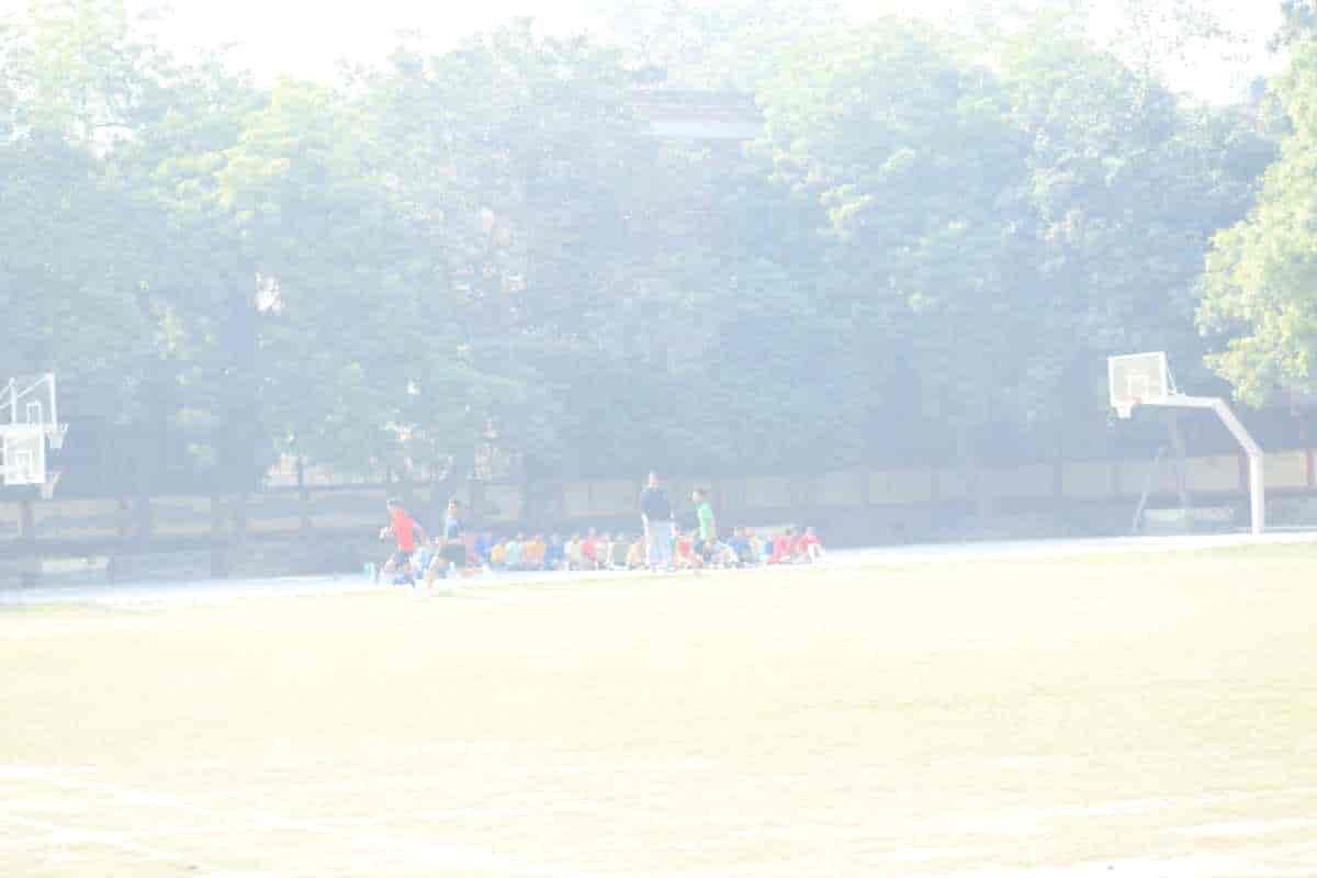 Senior Sports Day 2024