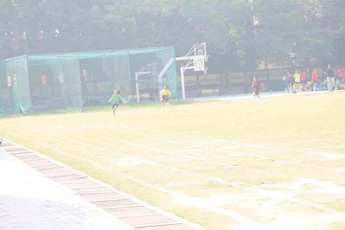 Senior Sports Day 2024