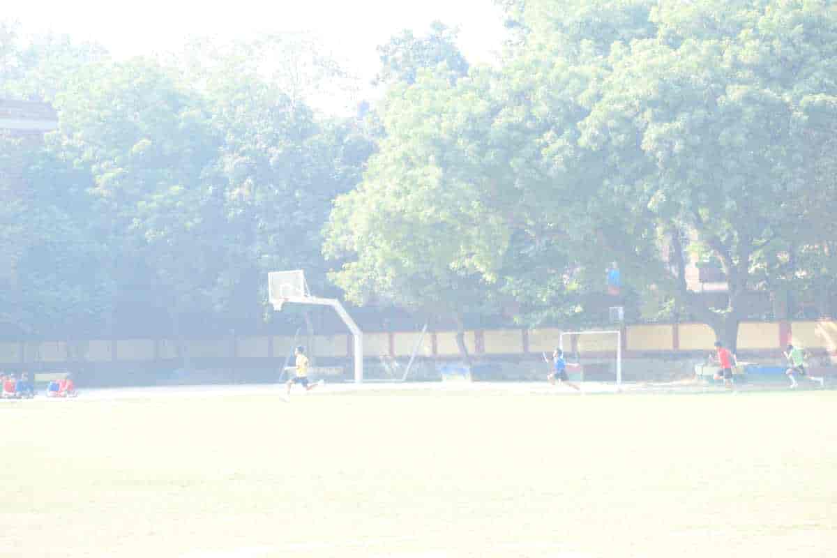 Senior Sports Day 2024