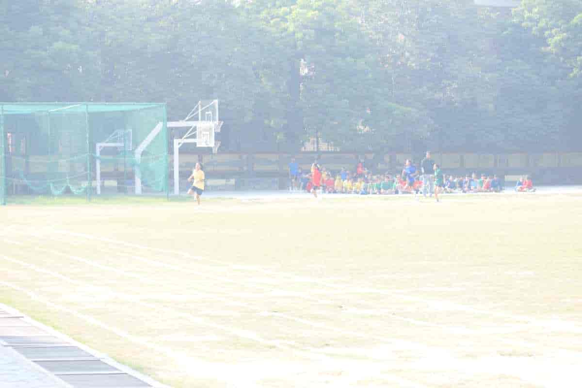 Senior Sports Day 2024