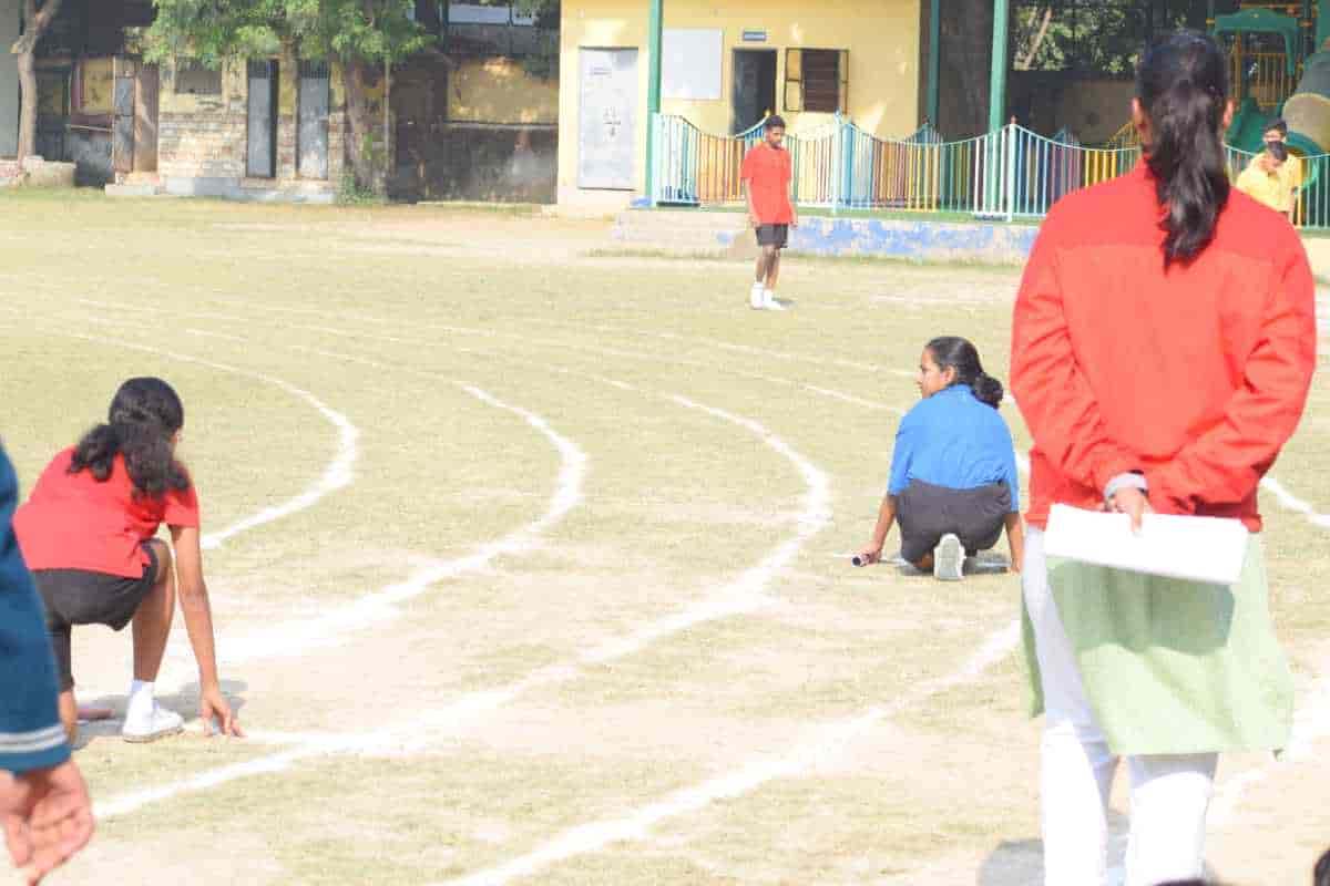 Senior Sports Day 2024