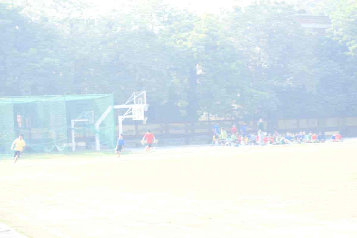 Senior Sports Day 2024