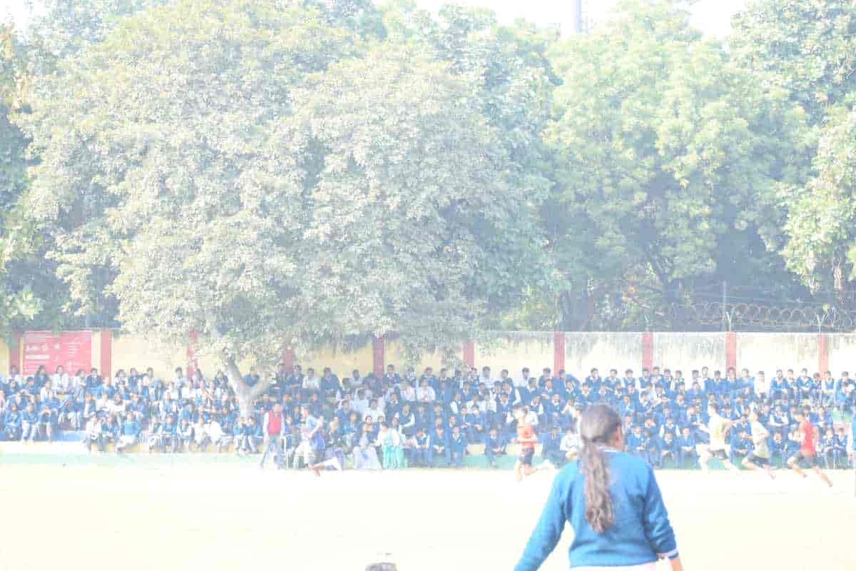Senior Sports Day 2024