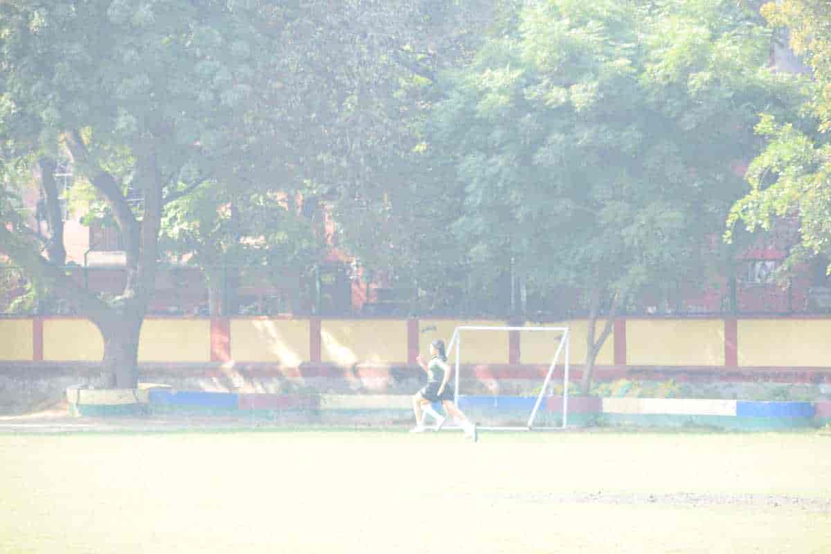 Senior Sports Day 2024