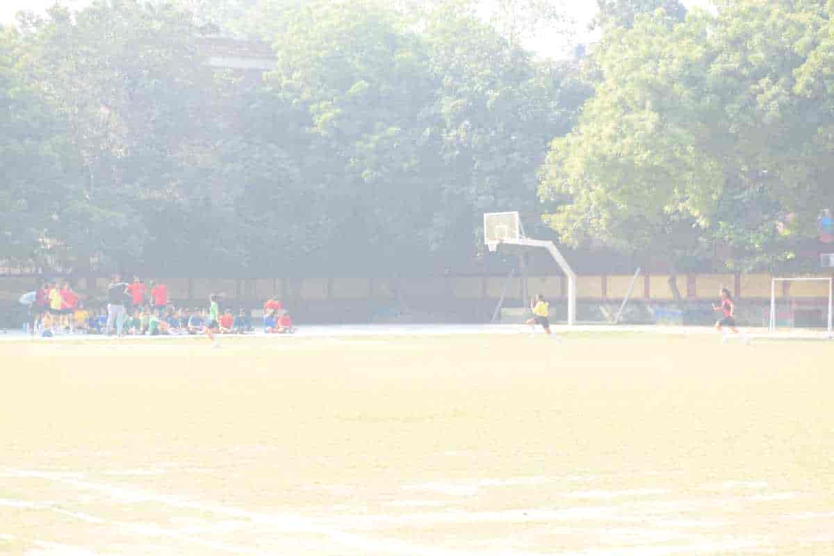 Senior Sports Day 2024