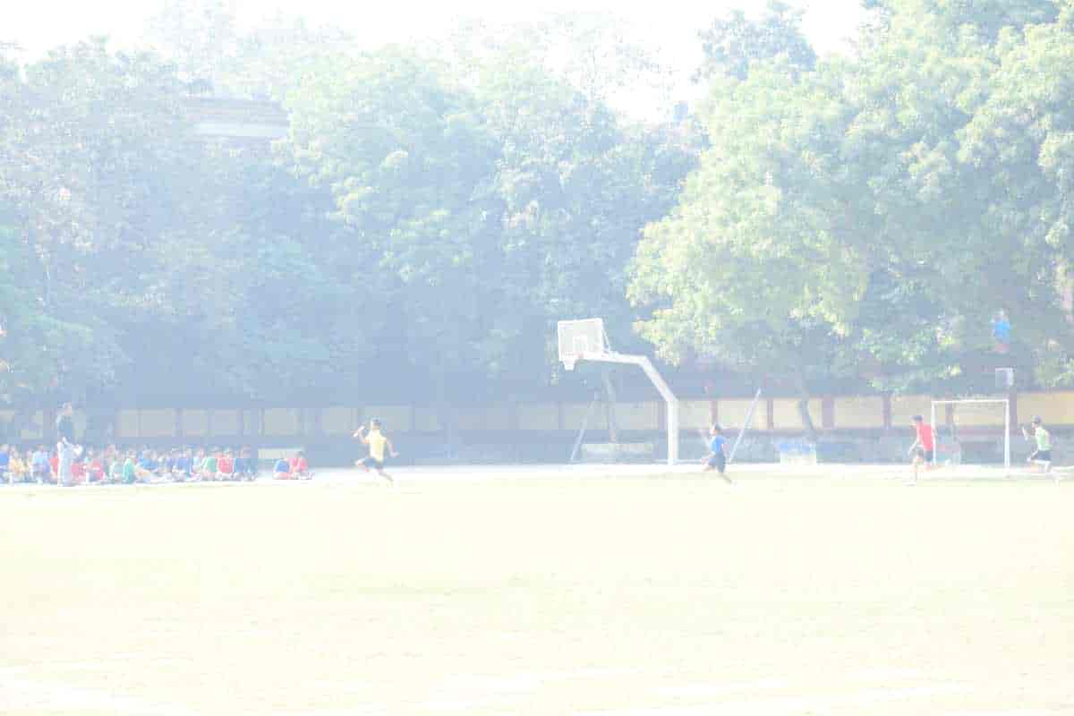 Senior Sports Day 2024