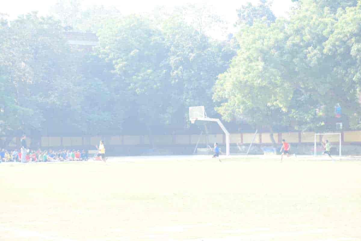 Senior Sports Day 2024