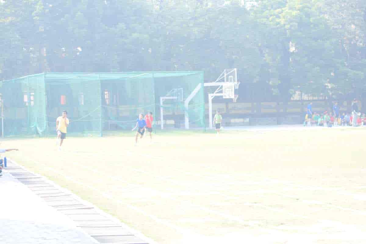 Senior Sports Day 2024