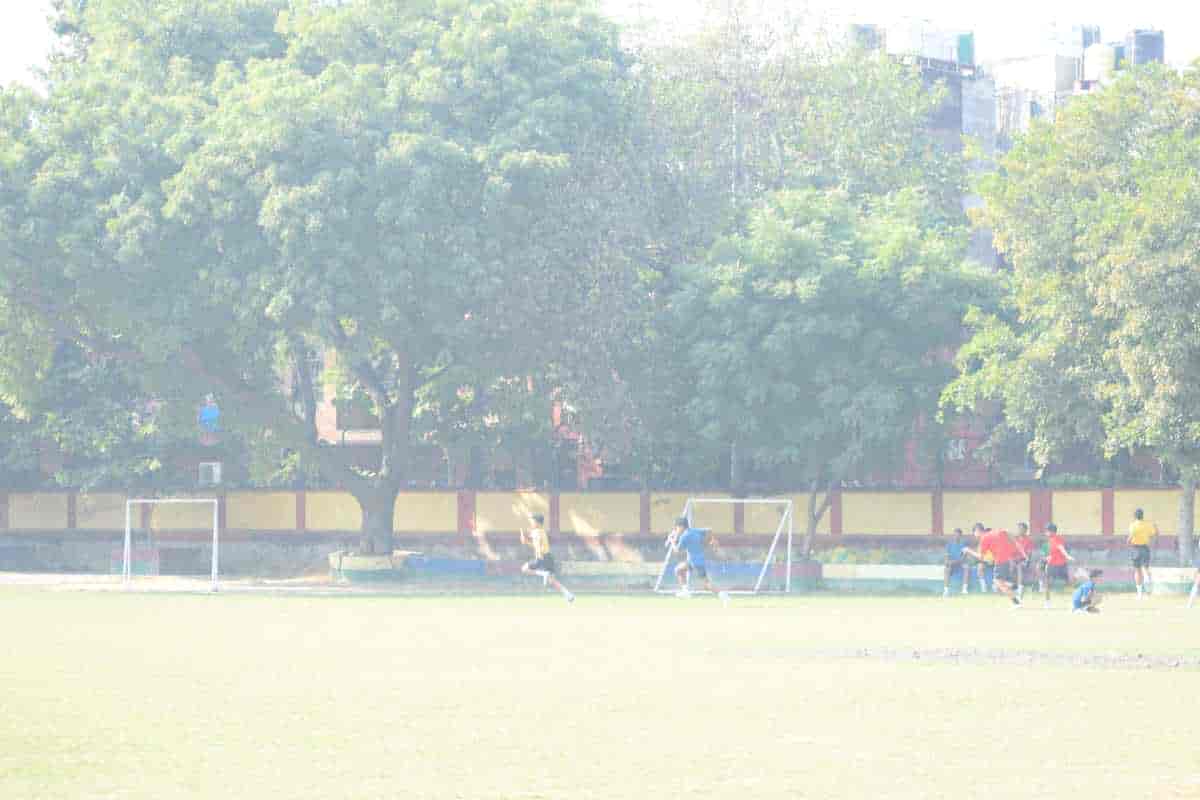 Senior Sports Day 2024