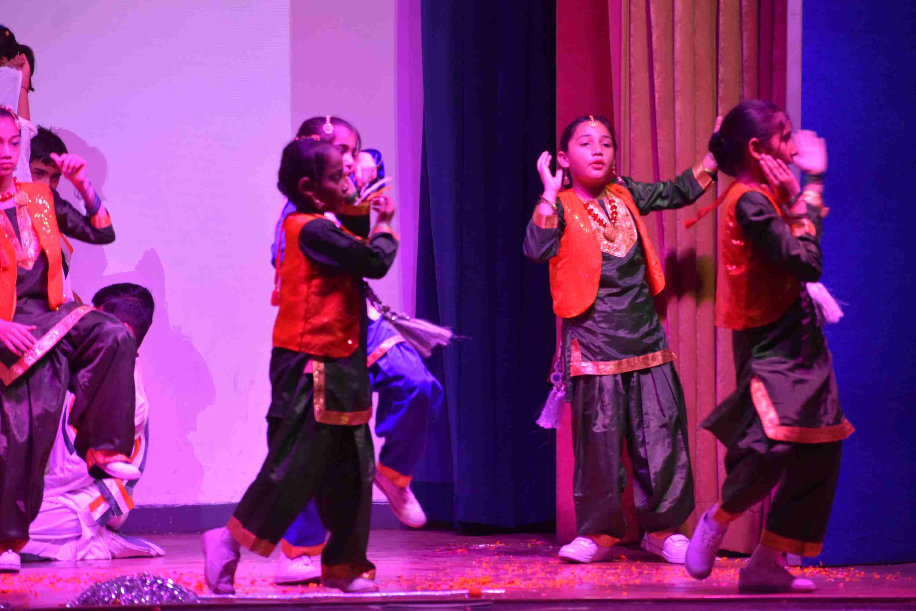 Independence Day Celebration 2025
