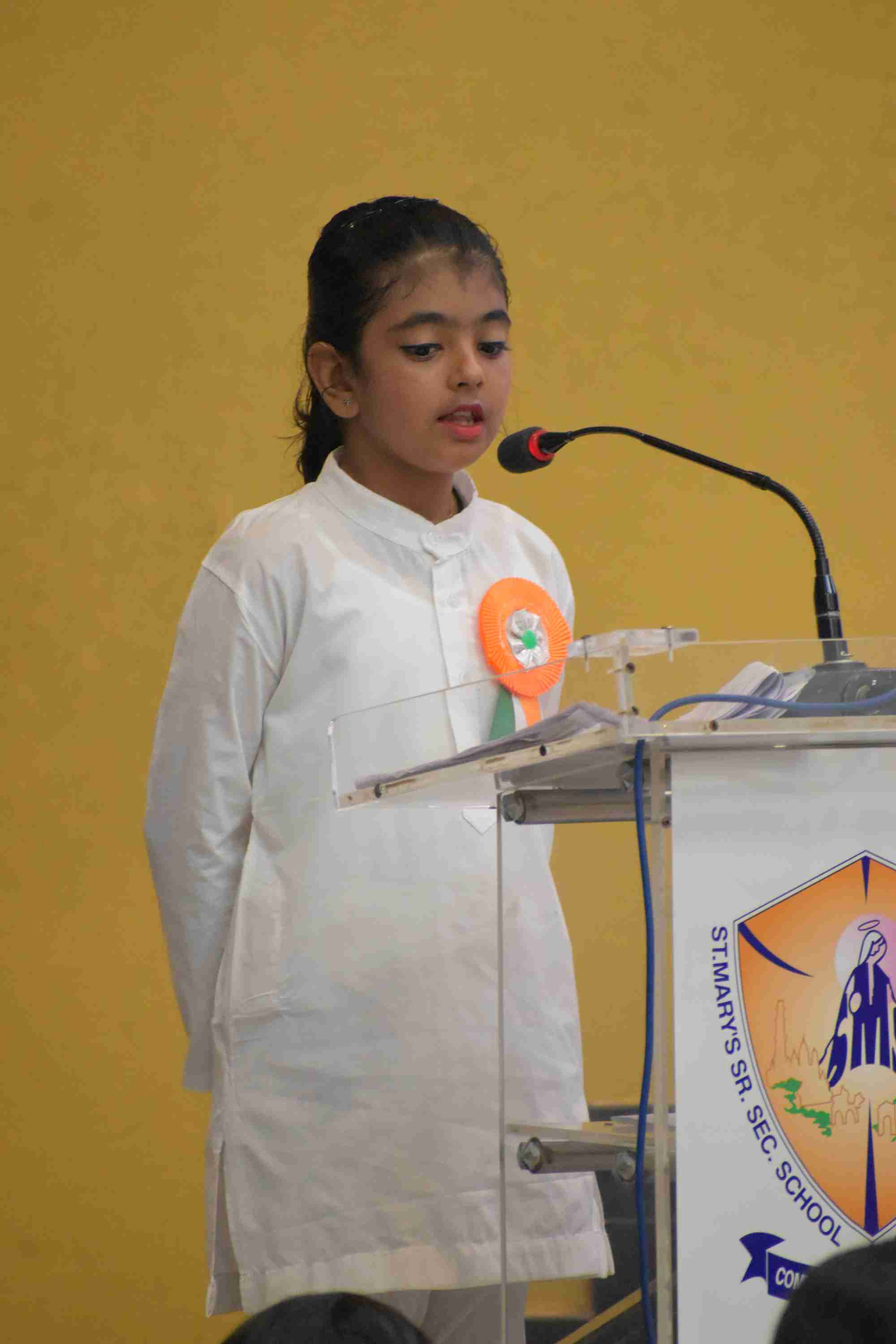 Independence Day Celebration 2025