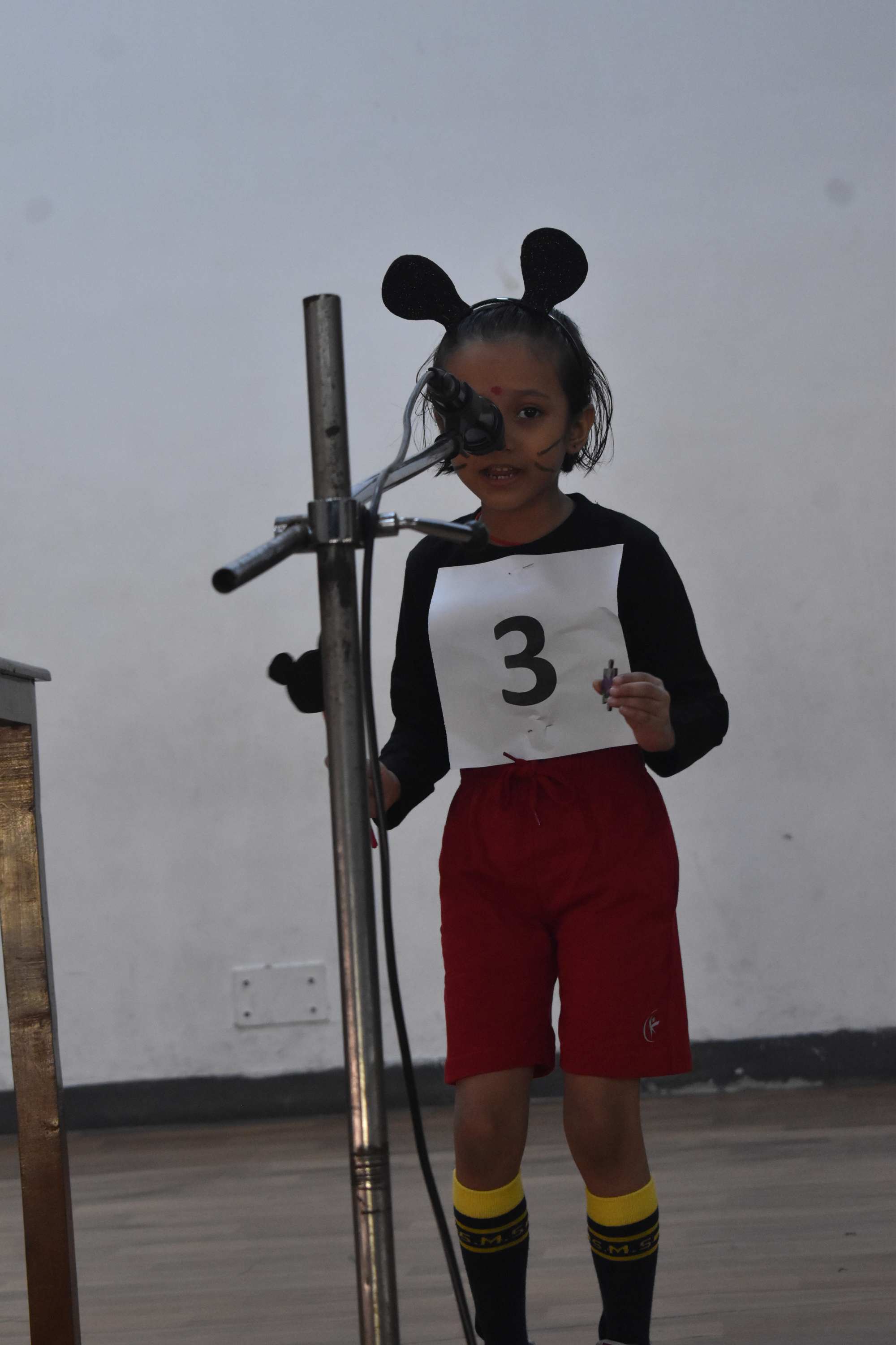 Class 1-Cartoon Character Act