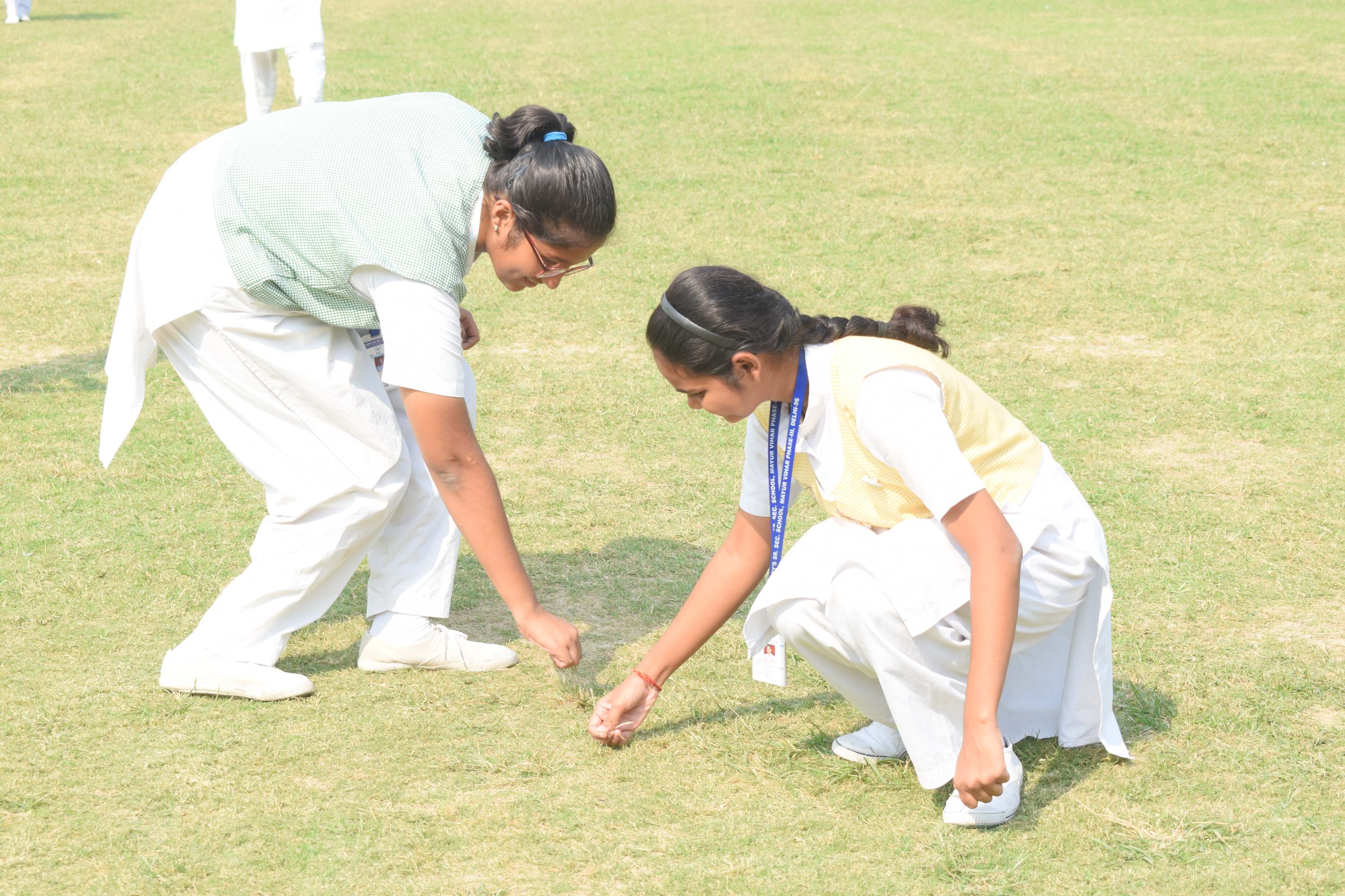 Cleaning Activity