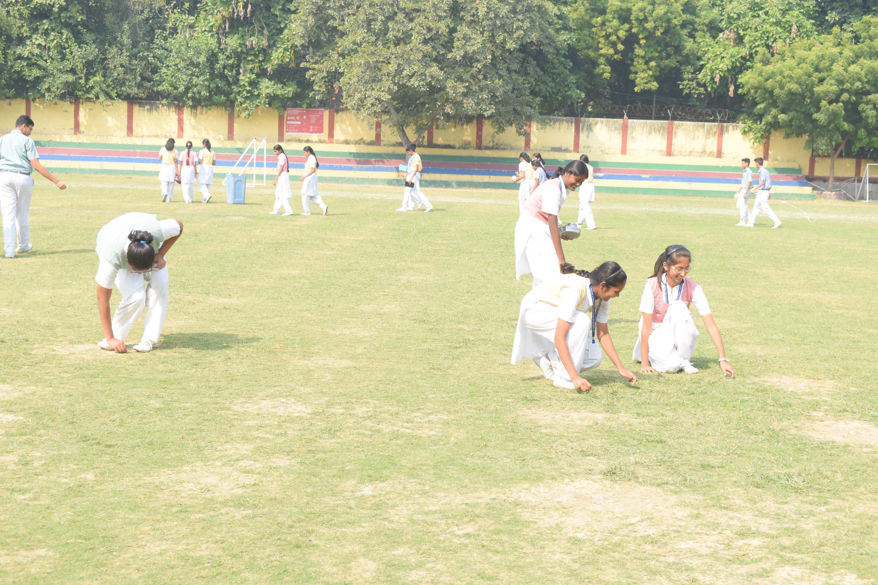 Cleaning Activity